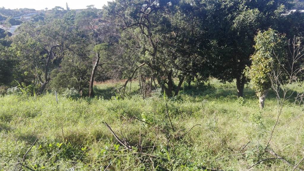 850 m² Land available in Port Shepstone photo number 1