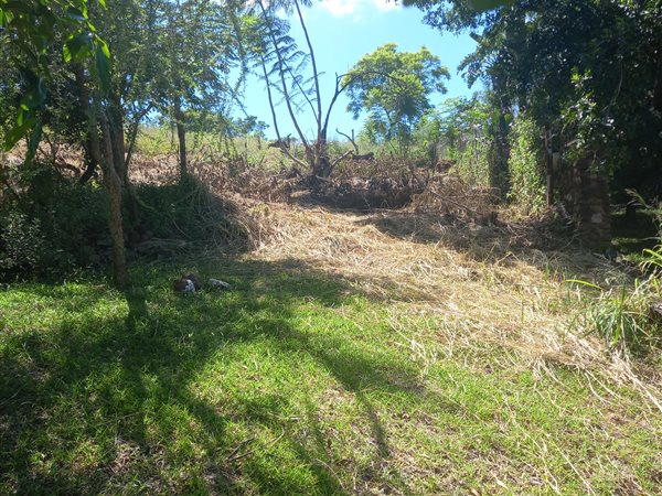 2274 m² Land available in Barberton