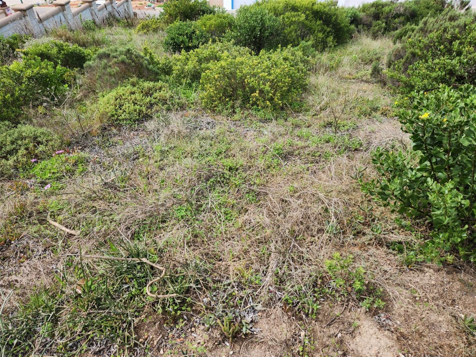 973 m² Land available in Island View photo number 10