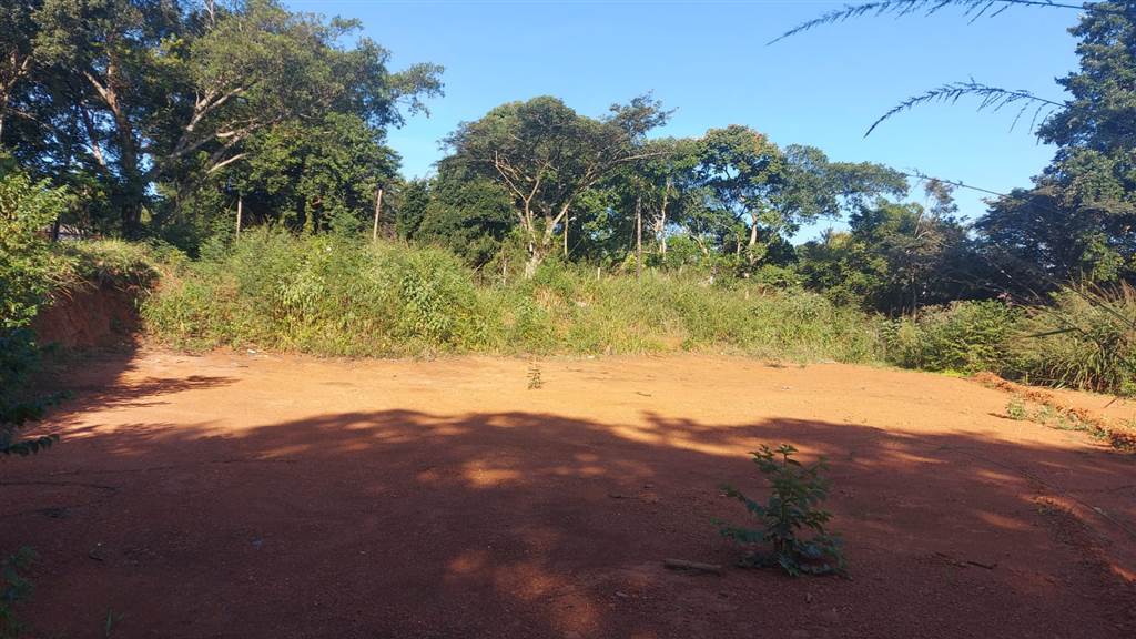 1800 m² Land available in Forest Hills photo number 3