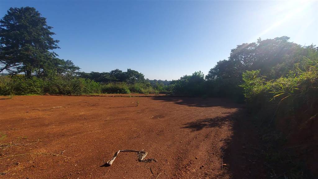 1800 m² Land available in Forest Hills photo number 4
