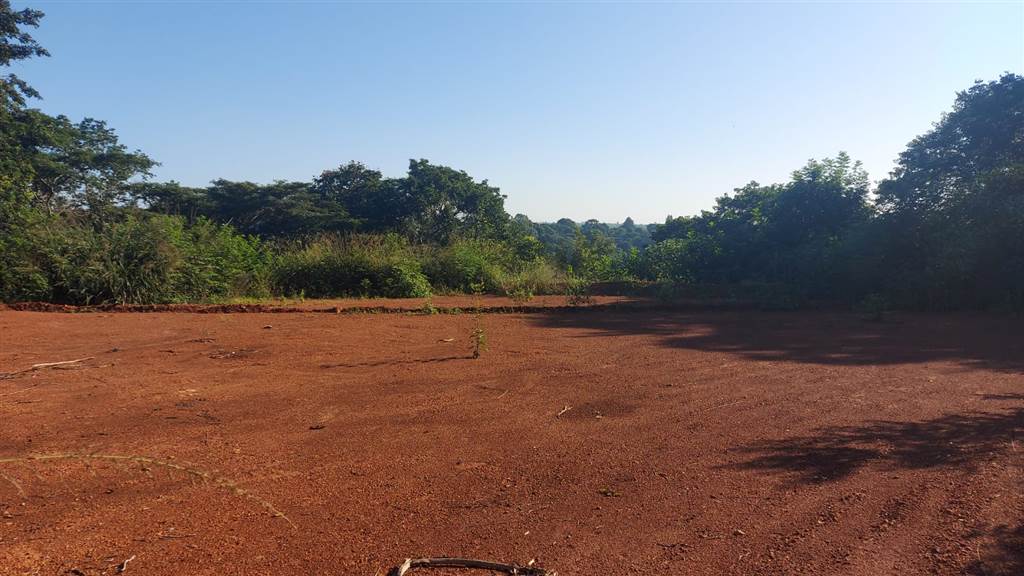 1800 m² Land available in Forest Hills photo number 5