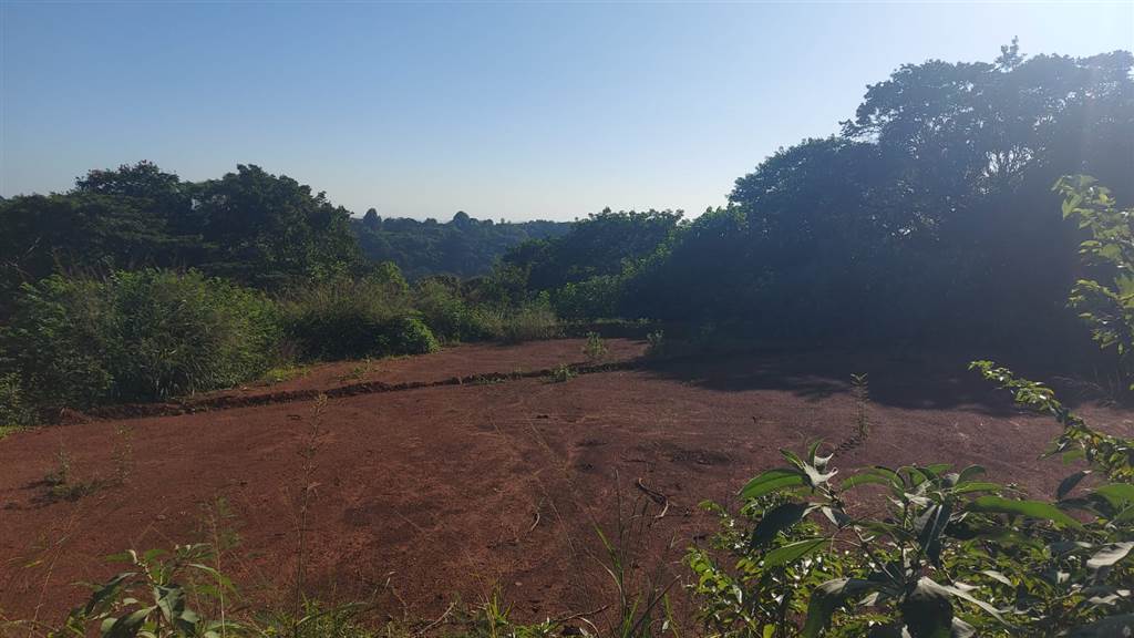 1800 m² Land available in Forest Hills photo number 2