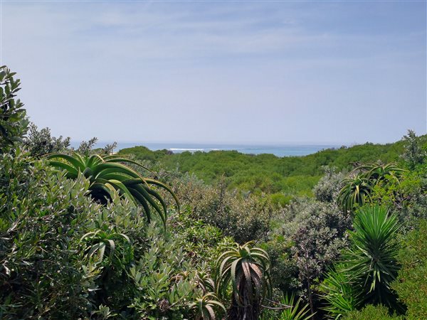 947 m² Land available in Paradise Beach