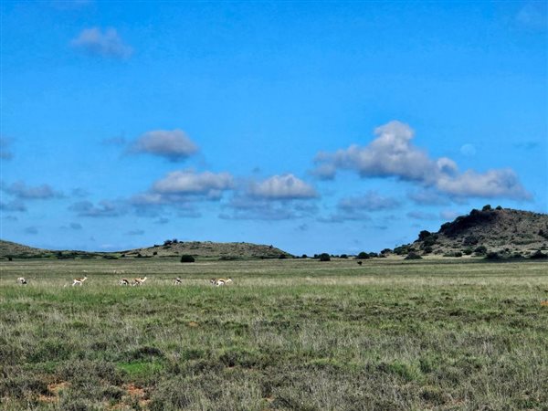 1 092 ha Farm