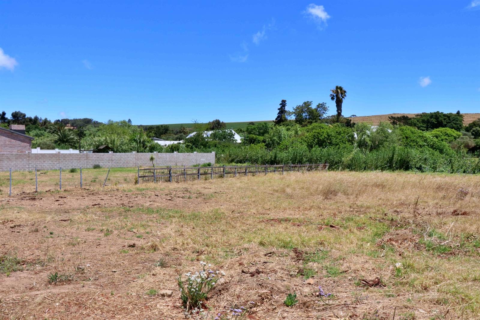 1024 m² Land available in Darling photo number 4