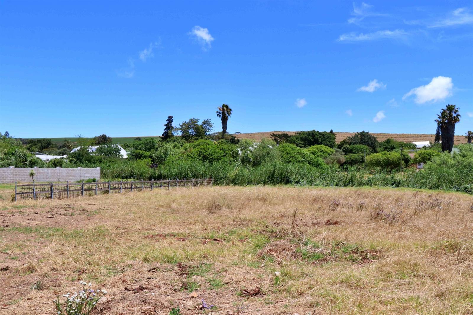 1024 m² Land available in Darling photo number 5