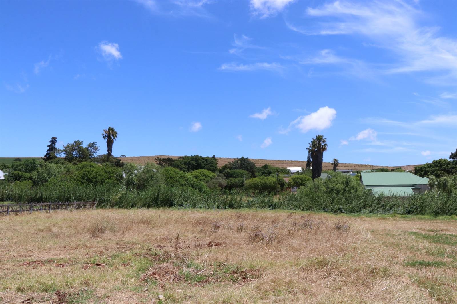 1024 m² Land available in Darling photo number 8