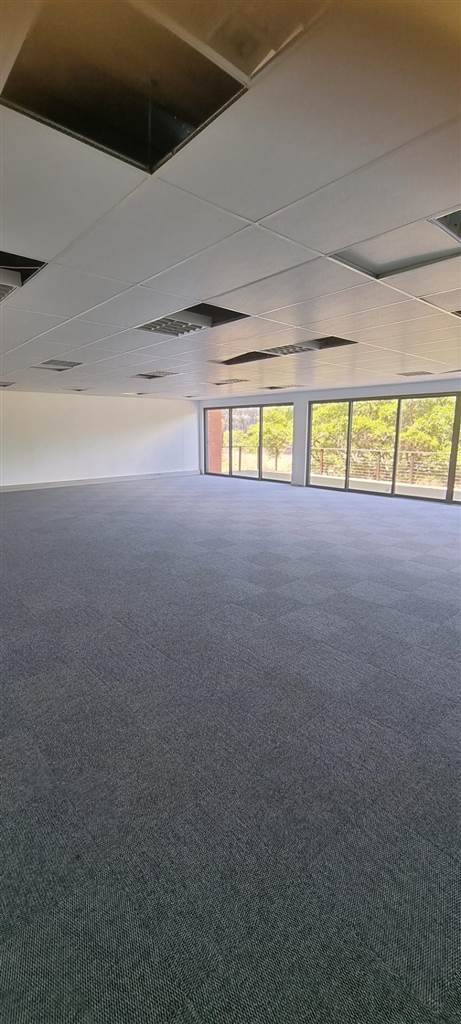 100  m² Office Space in Hilton photo number 26