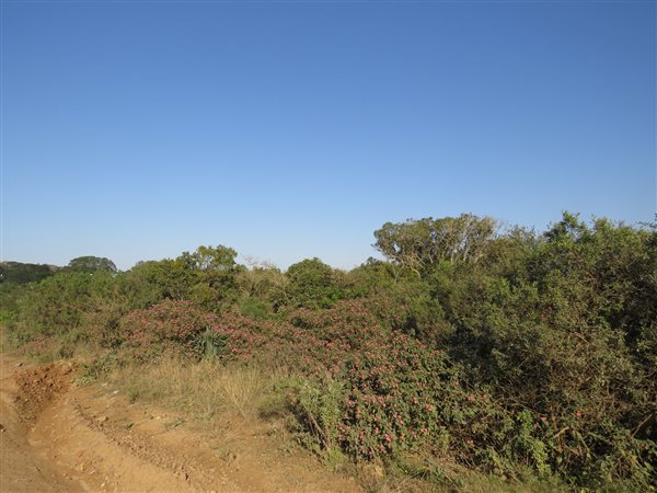 1894 m² Land available in East Bank