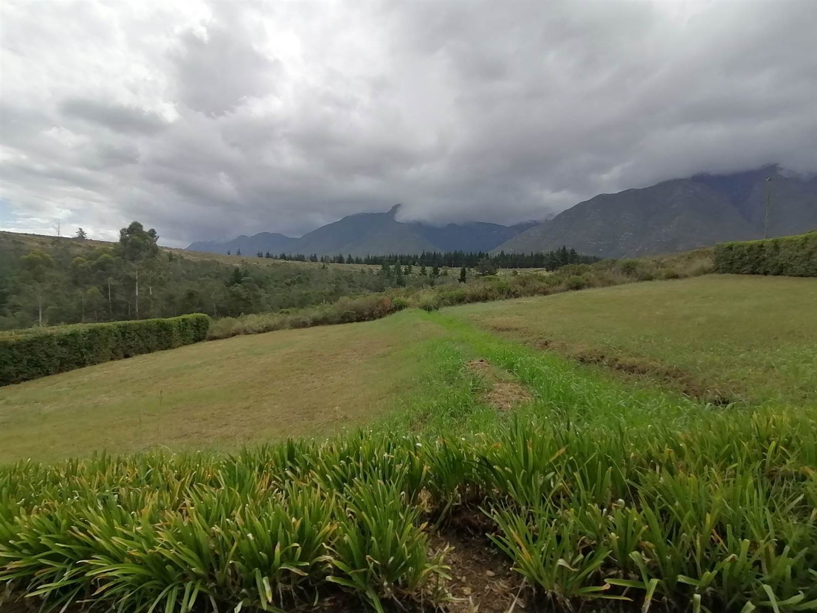 1000 m² Land available in Swellendam photo number 3