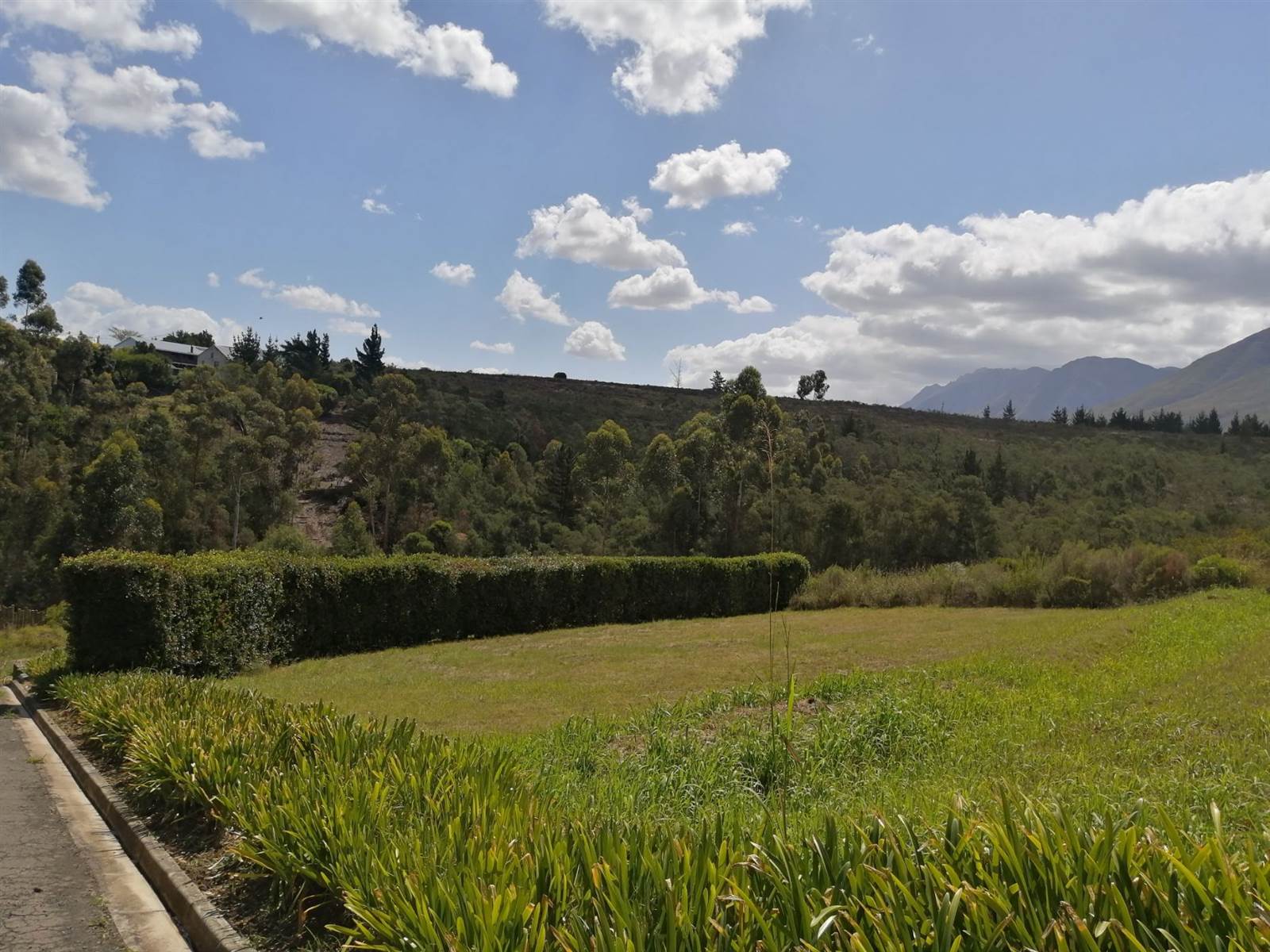1000 m² Land available in Swellendam photo number 4