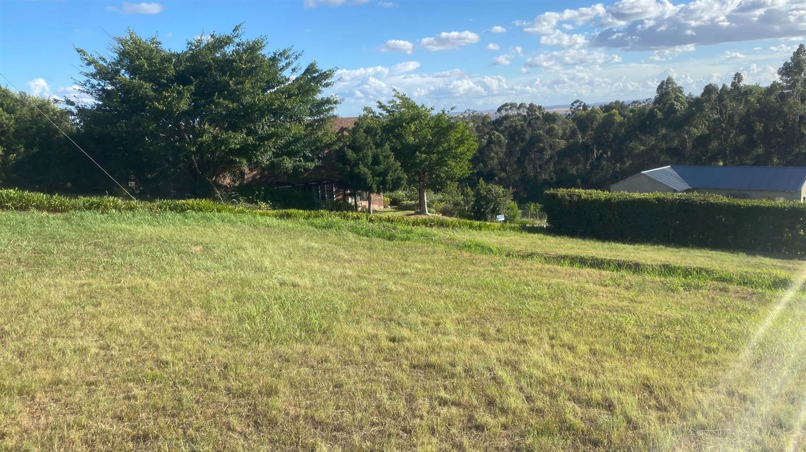 1000 m² Land available in Swellendam photo number 6