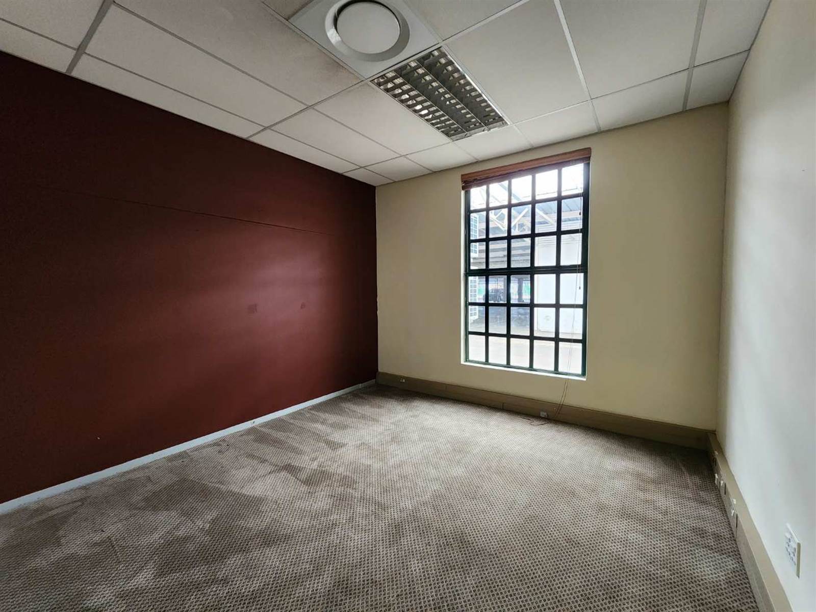 350  m² Office Space in Sunnyside photo number 19