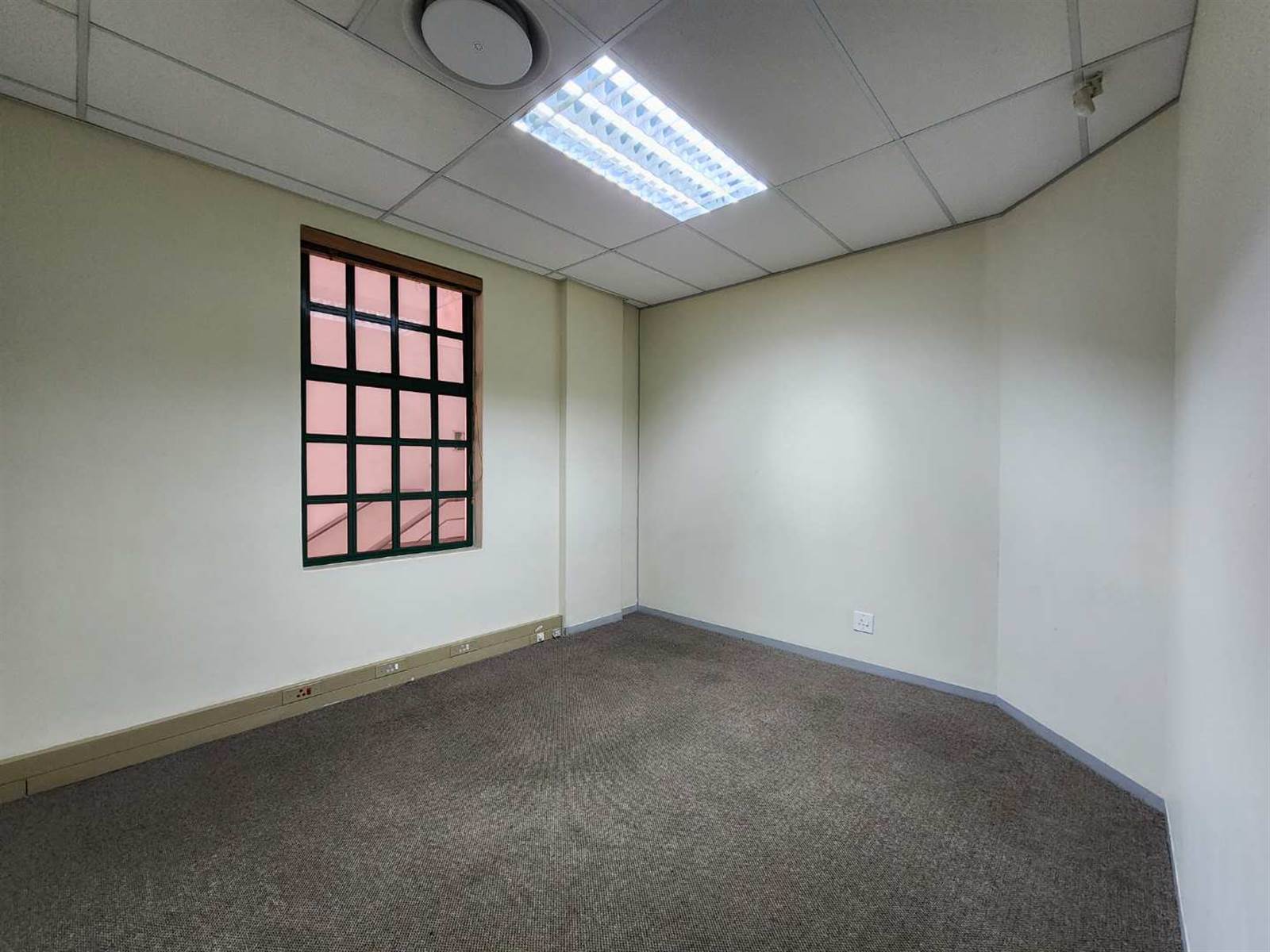 350  m² Office Space in Sunnyside photo number 7