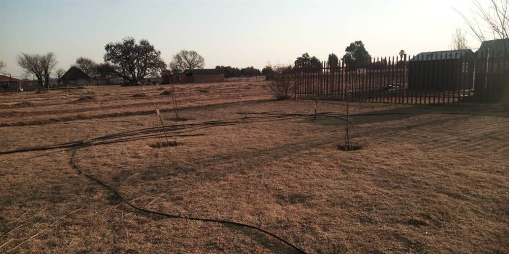 1.6 ha Land available in Delmas photo number 26