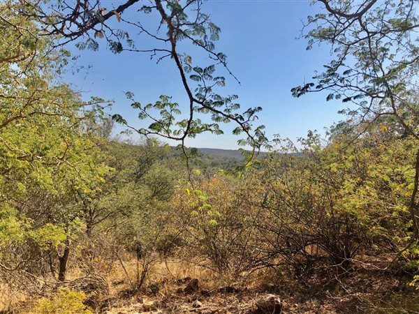 2 650 m² Land 2 650 m² Land