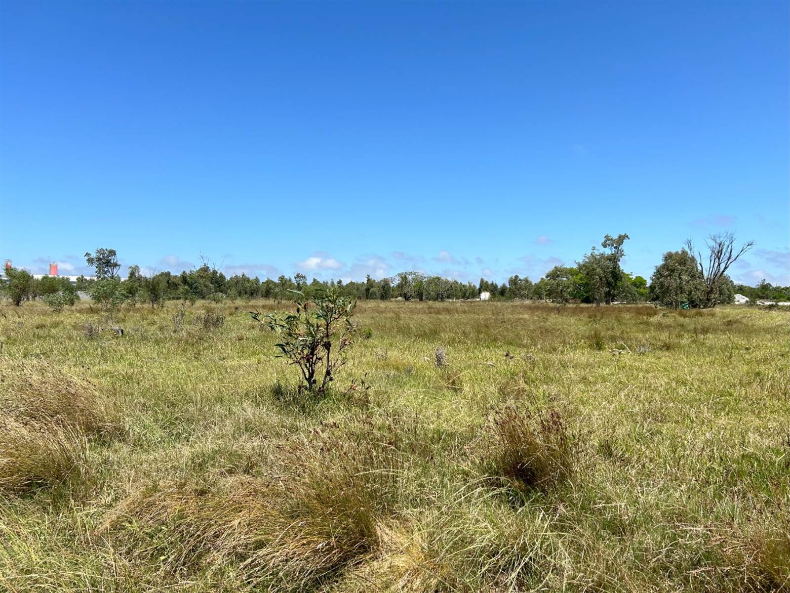 1.7 ha Land available in Greenbushes photo number 1