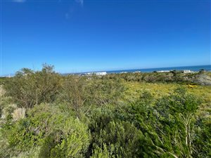 226 m² Land available in Bettys Bay