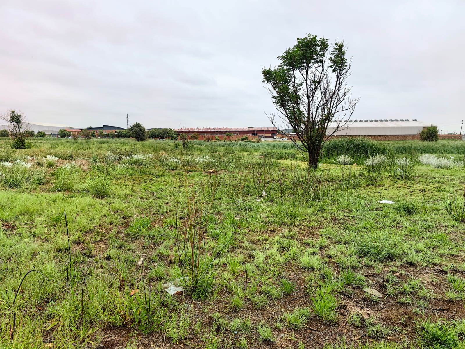 6292 m² Land available in Willow Park photo number 1