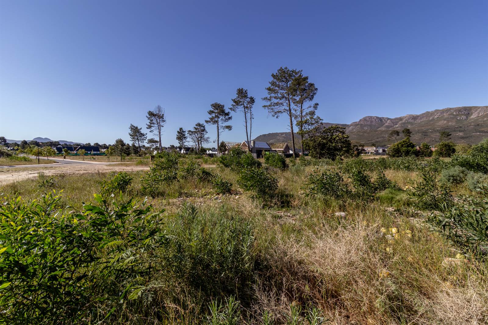 1110 m² Land available in Pearl Valley photo number 6