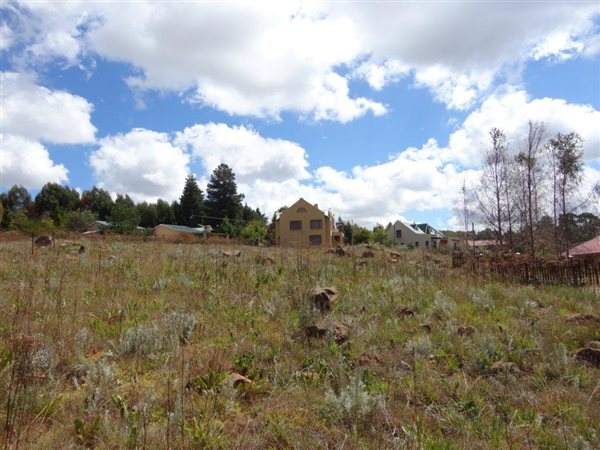 700 m² Land available in Dullstroom photo number 3