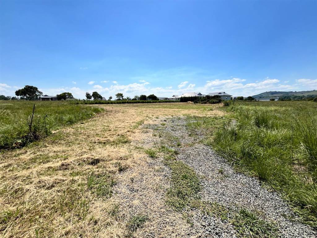 1742 m² Land available in Howick photo number 8