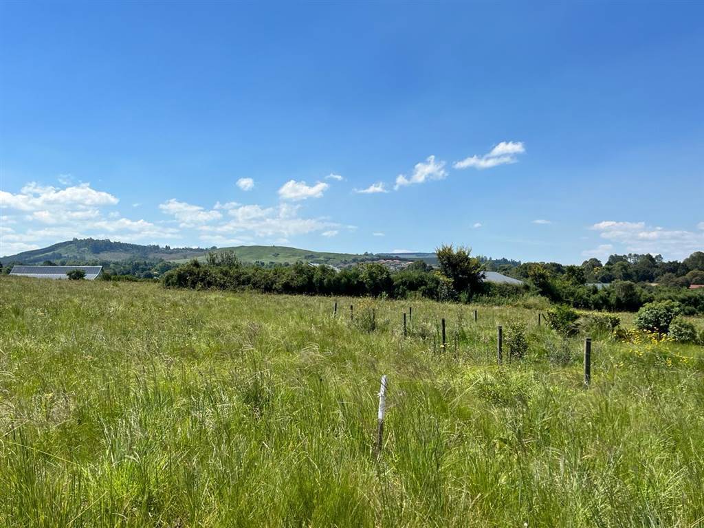 1742 m² Land available in Howick photo number 9