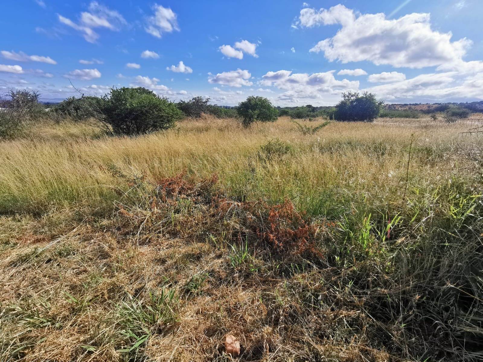 4752 m² Land available in Lesedi Park photo number 4
