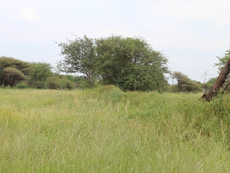374 m² Land available in Northam photo number 2