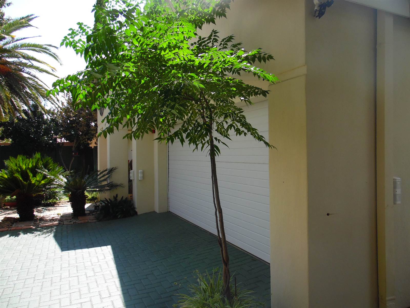 3 Bed House in Jan Cilliers Park photo number 29