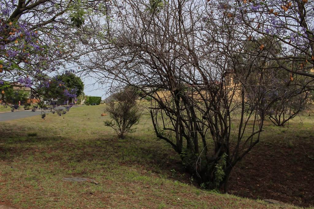 1398 m² Land available in Kosmos Ridge photo number 8