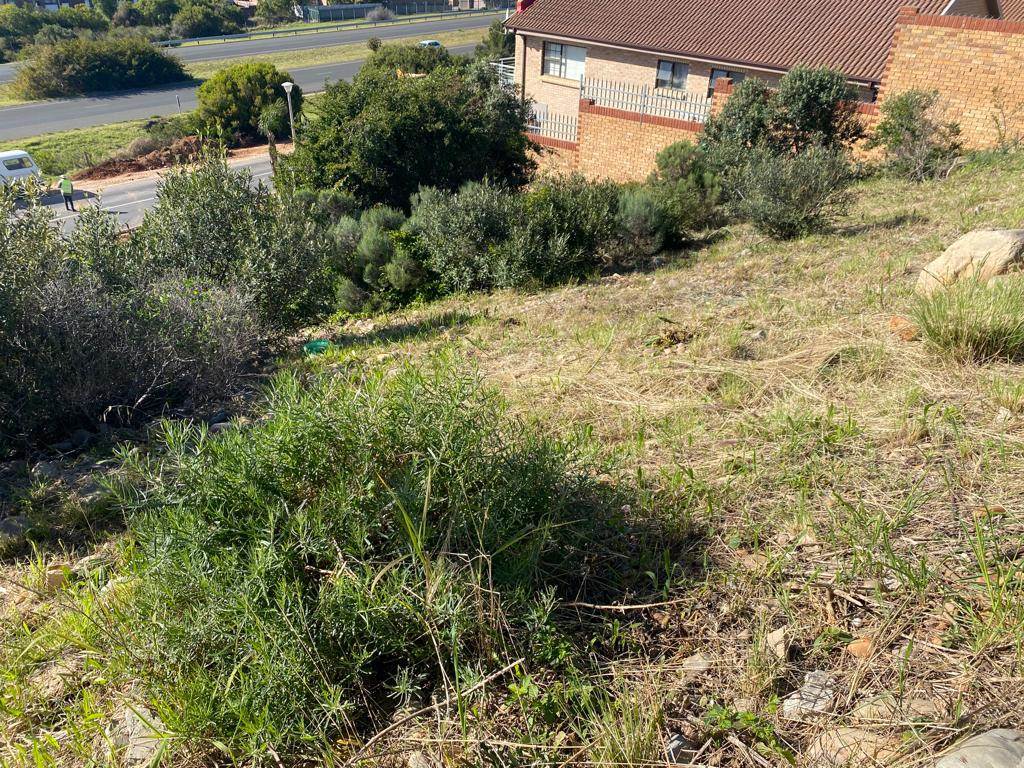 746 m² Land available in Menkenkop photo number 6