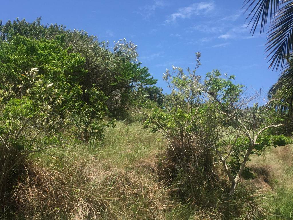 1482 m² Land available in Hibberdene photo number 4