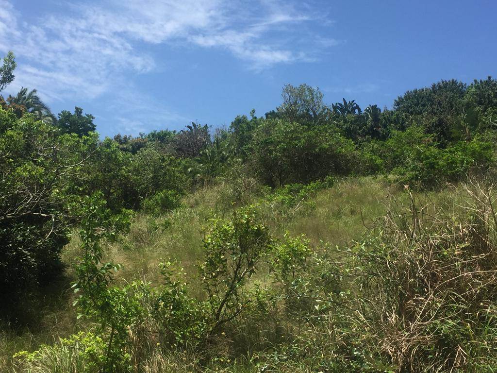 1482 m² Land available in Hibberdene photo number 3