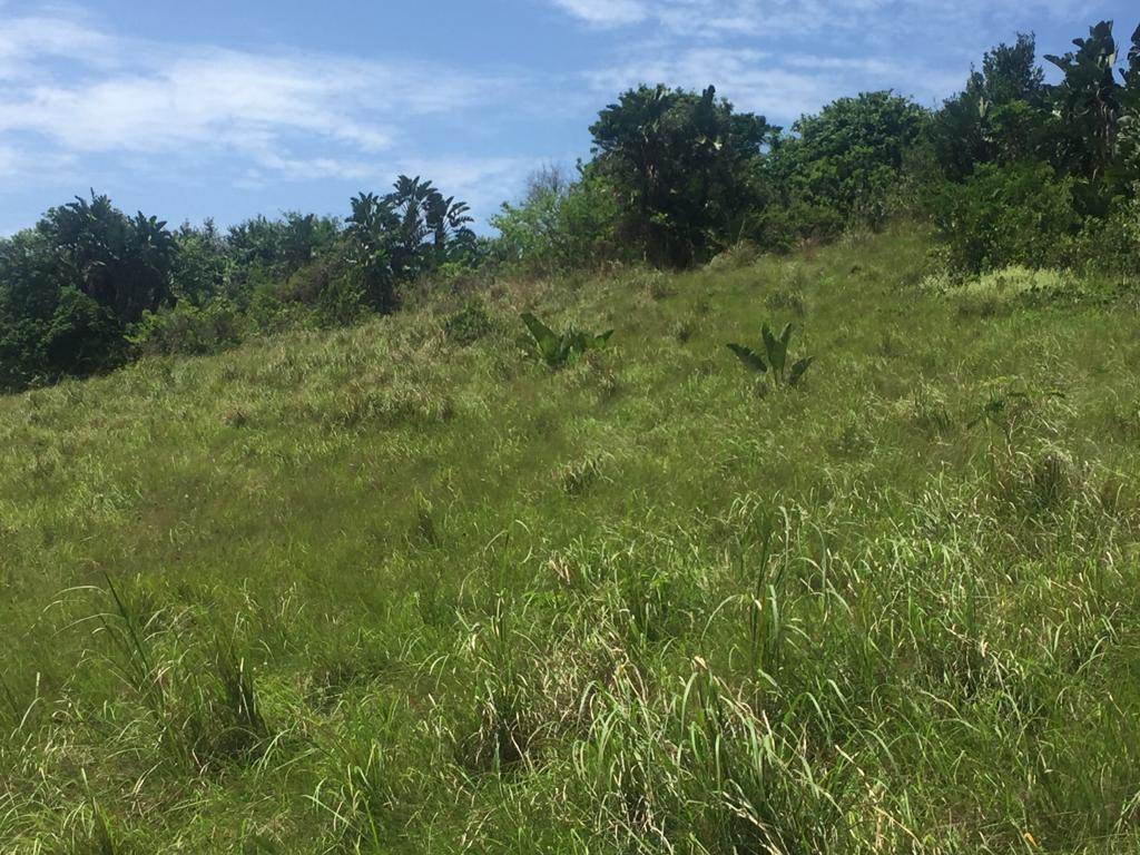 1482 m² Land available in Hibberdene photo number 6