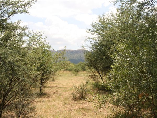 1 274 m² Land