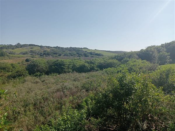 2354 m² Land available in West Bank