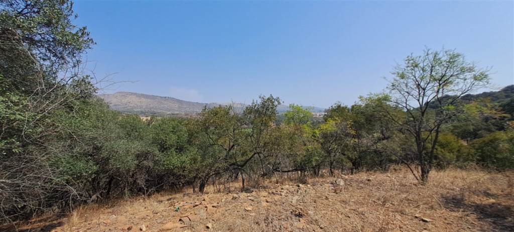 4175 m² Land available in Xanadu photo number 4