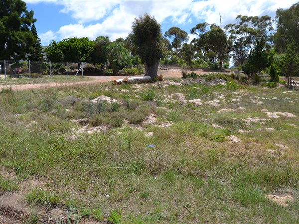 595 m² Land available in Albertinia
