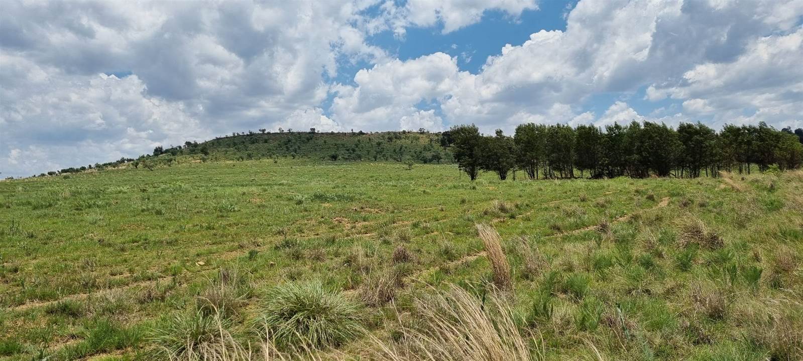 178 ha Land available in Magaliesburg photo number 5