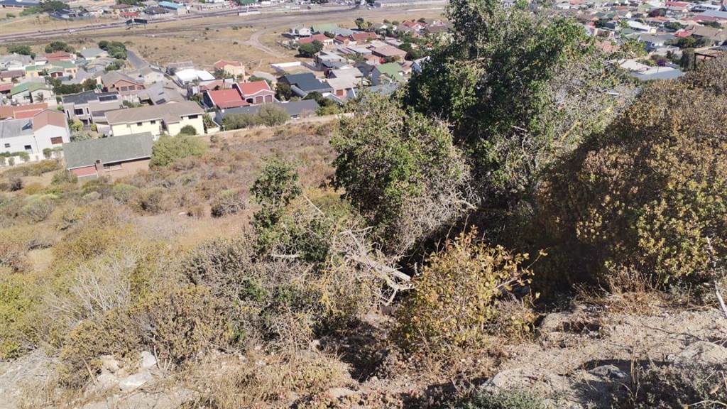 1160 m² Land available in Saldanha photo number 3