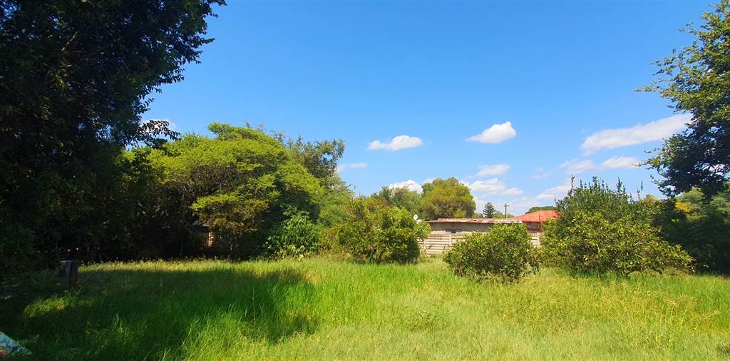 1000 m² Land available in Modimolle photo number 4