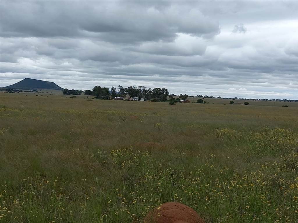 514 ha Farm in Bloemfontein Rural photo number 12