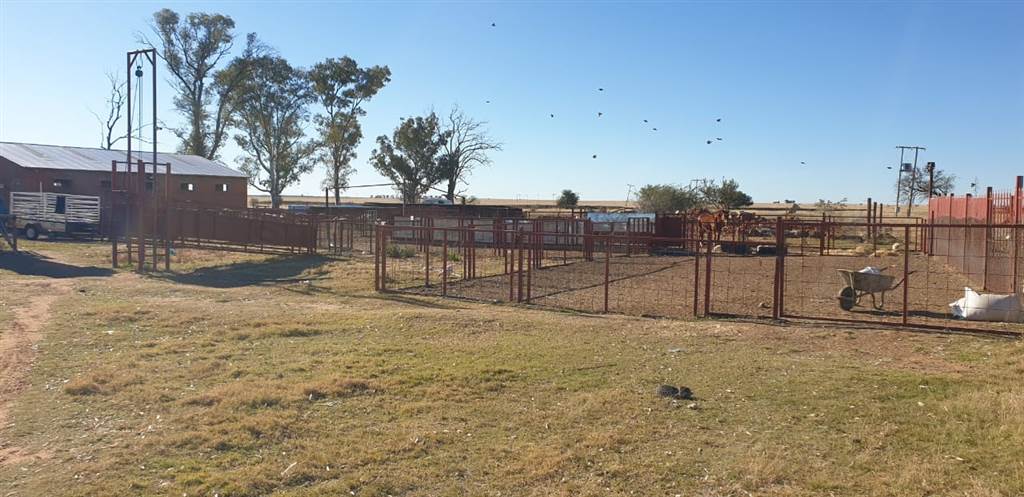 514 ha Farm in Bloemfontein Rural photo number 7