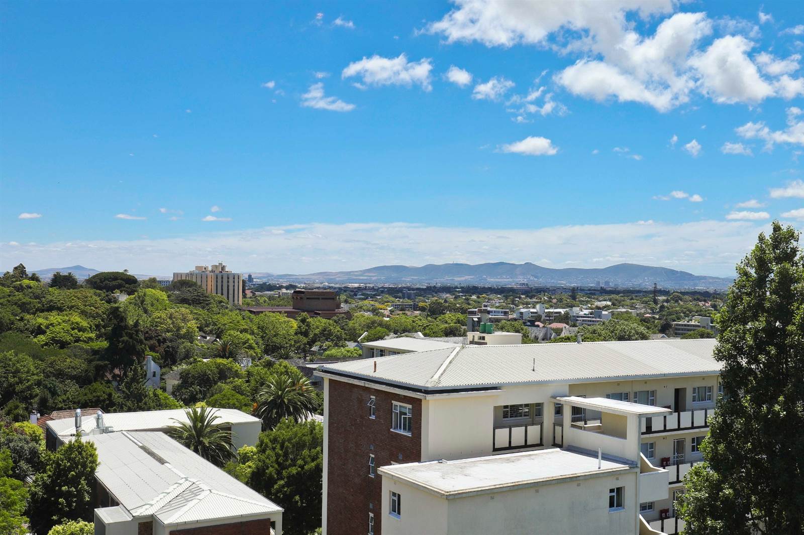 3 Bed Penthouse in Rondebosch photo number 6
