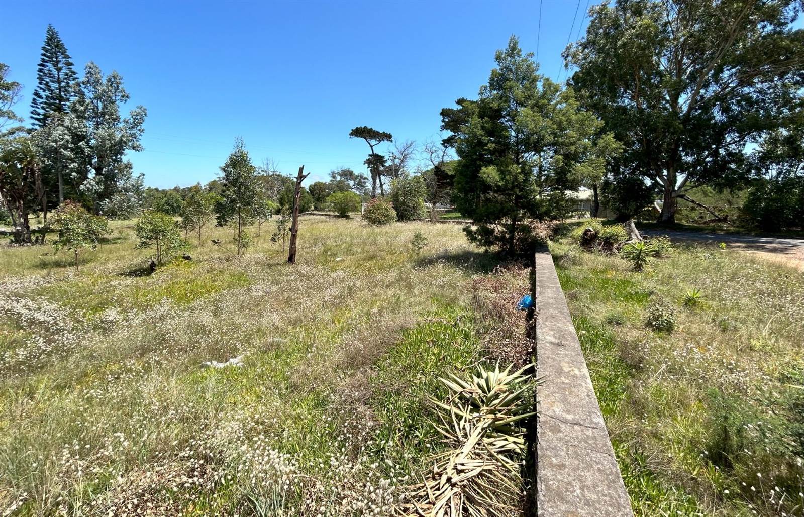 2.6 ha Land available in Greenbushes photo number 6