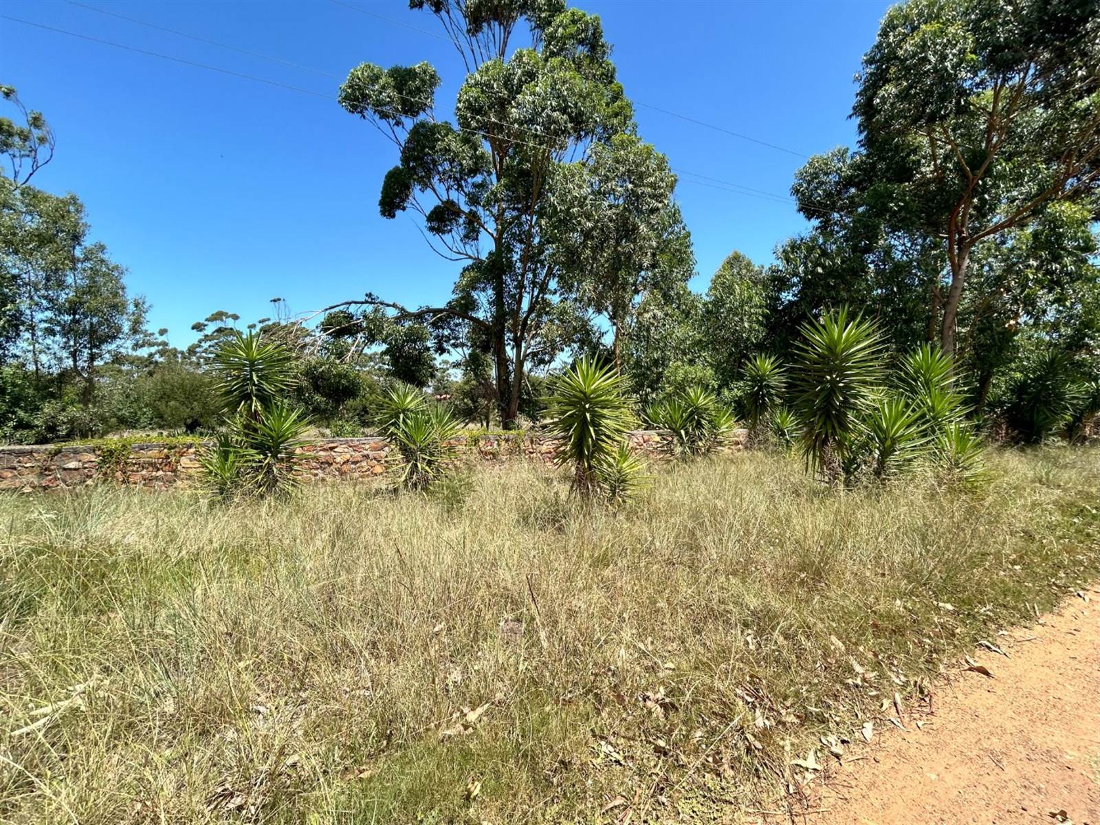 2.6 ha Land available in Greenbushes photo number 3