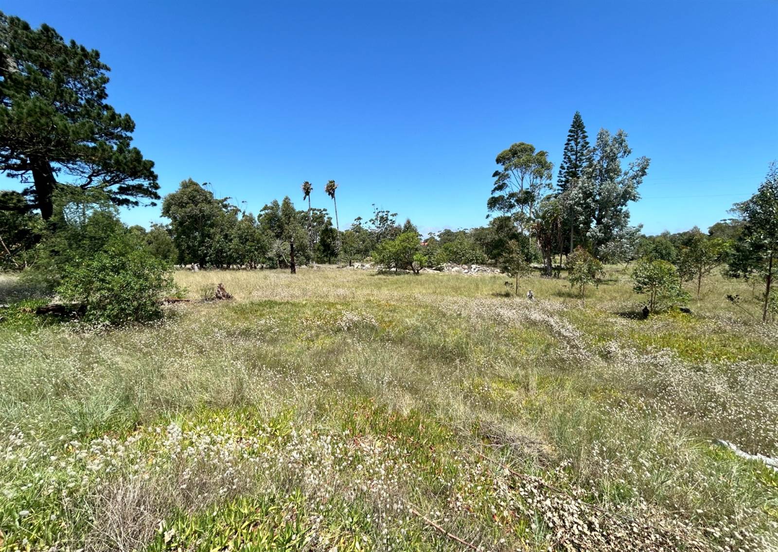 2.6 ha Land available in Greenbushes photo number 4