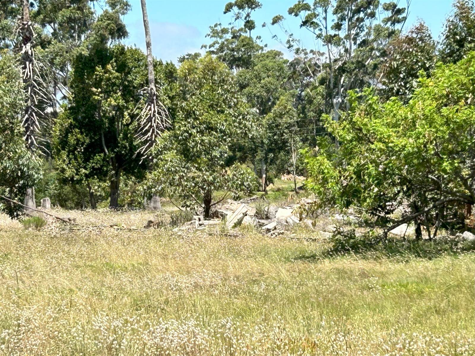 2.6 ha Land available in Greenbushes photo number 7